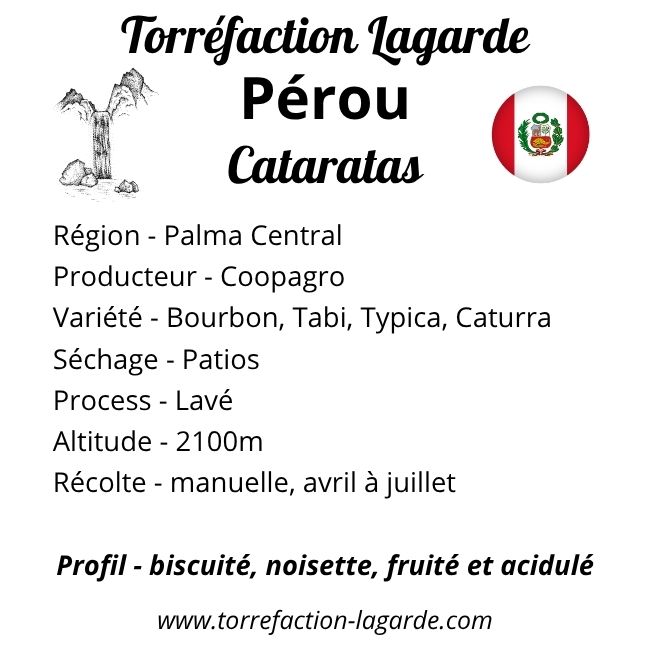 Pérou &#8211; Palma Central &#8211; Cataratas &#8211; San Andres* (7.30€ TTC/250g) Gérardmer