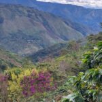 Pérou &#8211; Palma Central &#8211; Cataratas &#8211; San Andres Guebwiller 2