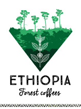 Les Cafés de Forêts par BELCO, à découvrir chez Torréfaction Lagarde Wittenheim
