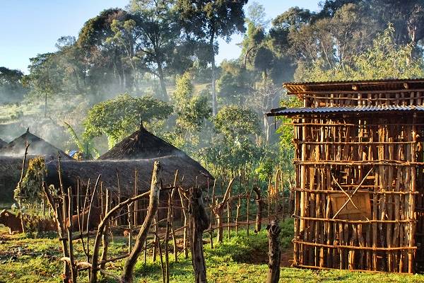 Torréfaction Lagarde : l&#8217;art du café de spécialité à Guebwiller en Alsace Guebwiller