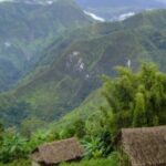 Papouasie &#8211; Nouvelle Guinée &#8211; Hautes Terres Orientales &#8211; Raggiana Illzach 2