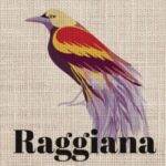 Papouasie &#8211; Nouvelle Guinée &#8211; Hautes Terres Orientales &#8211; Raggiana Wittenheim 0
