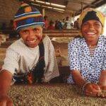 Papouasie &#8211; Nouvelle Guinée &#8211; Hautes Terres Orientales &#8211; Raggiana Rixheim 6