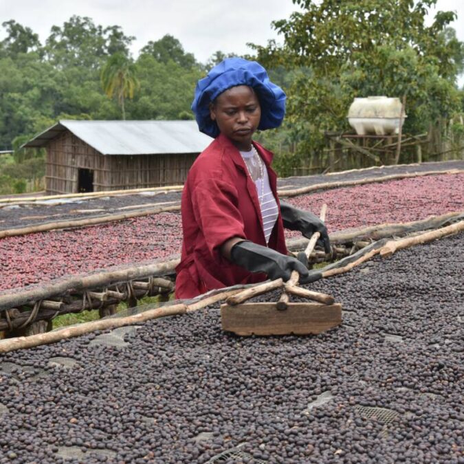 Découvrez les cafés de Spécialités avec votre artisan torréfacteur à Guebwiller en Alsace Illzach 2