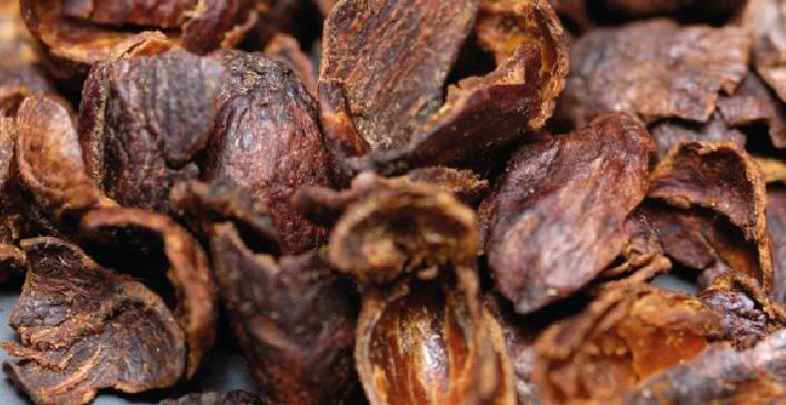 Infusions de cascara et de feuilles de caféiers Colmar 1