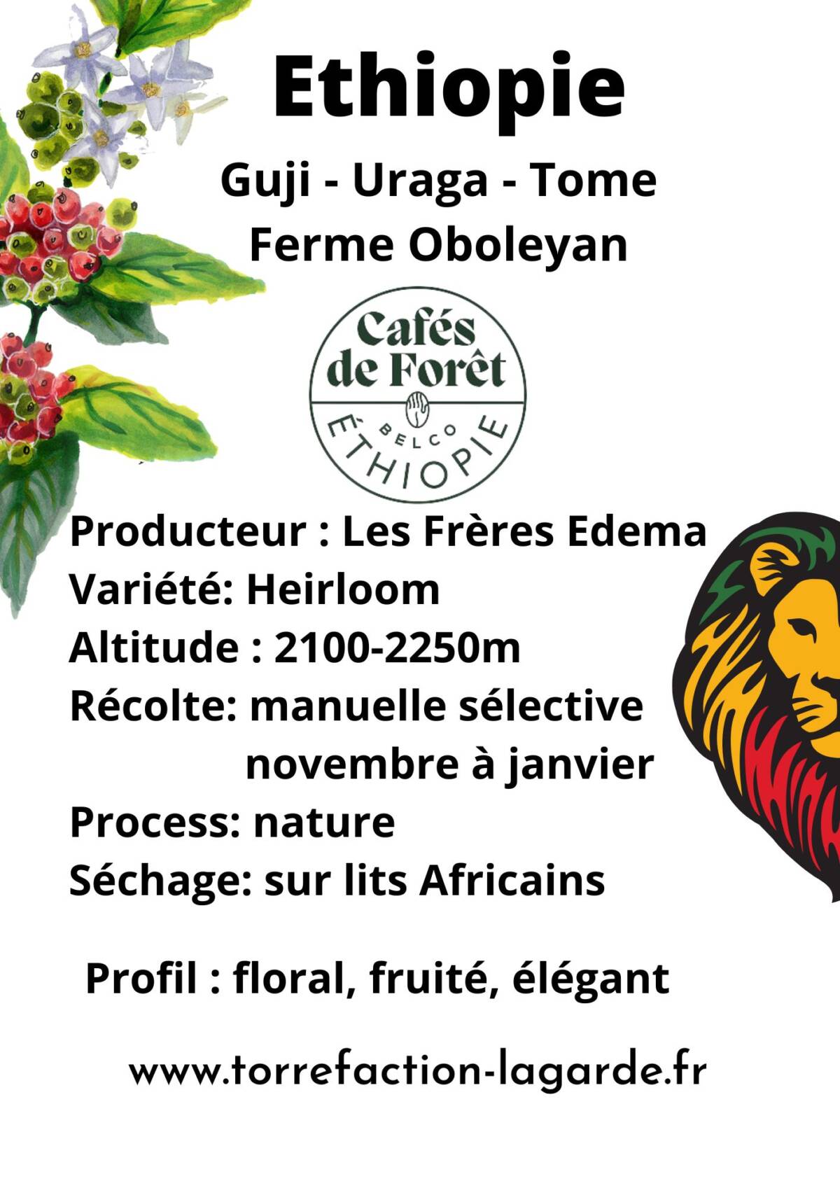 ETHIOPIE &#8211; GUJI – URAGA Pfastatt 0