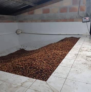 IMAGEN 20240904 211611 3A309254 1 | Torréfaction Lagarde Découvrez nos cafés d’exception avec votre artisan torréfacteur à Guebwiller en Alsace Wittelsheim 1