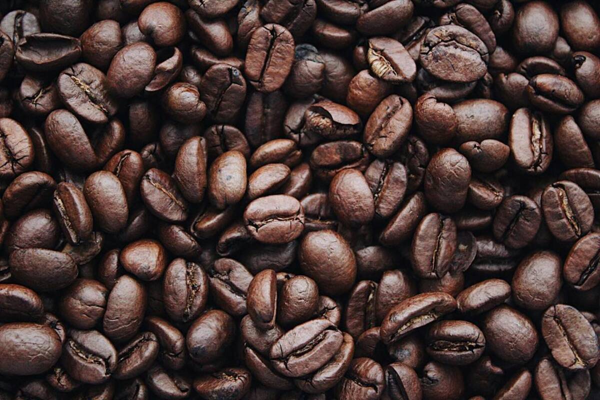 Pourquoi consommer du café en grains ? Kingersheim