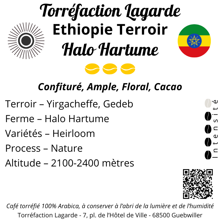 ETHIOPIE TERROIR HALO HARTUME | Torréfaction Lagarde ETHIOPIE – TERROIR – YIRGACHEFFE – HALO HARTUME (12.90€ TTC/250g) Pfastatt 0