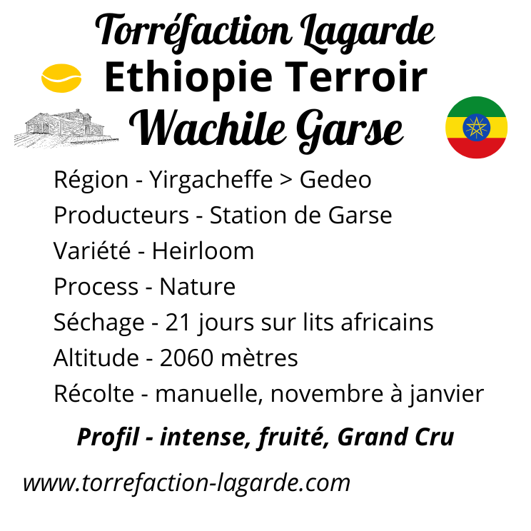 ETHIOPIE TERROIR WACHILE GARSE | Torréfaction Lagarde ETHIOPIE – TERROIR – YIRGACHEFFE WACHILE GARSE (12.90€ TTC/250g) Pfastatt 0